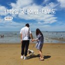 낭만쏘가리매운탕 | 국내 1박2일 주말여행 : 대부도 애견동반 캠핑 후기