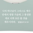 디자인단비