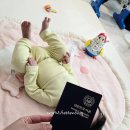 서울특별시 관악구청 | 아기 여권사진 셀프 촬영 어플 내돈내산 관악구청 여권 수령 기간