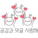 해든고양이병원 이미지