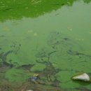 낙동강물환경연구소 이미지