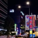 백악관관광나이트 이미지