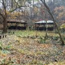 소양강둘레길 1코스 이미지