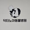 닥터노아동물병원 이미지