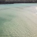 기지자동차공업사 이미지