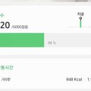 로즈마리 149 네이버블로그