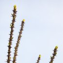 선경한의원 이미지