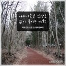 제이사려니숲길