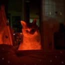 인디고 미술학원 | WK37 - 조광201, 엑디즈 앙콘(첫콘)