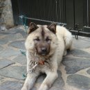 재호환경 이미지