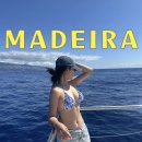 머지고래 | [마데이라] 푼샬 돌고래, 고래 투어 페리 전날 예약, 일정, 가격, 자리 꿀팁 내돈내산 후기