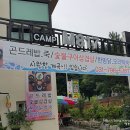 캠프M817 | 경기도 광주 천진암계곡 캠프M817 닭백숙이랑 곤드레밥 먹으면서 힐링하고 왔어여