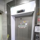 디에스더웰가 이미지