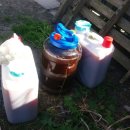 삼안농장 이미지