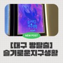 GS25 대의아카데미점 | [방탈출 기록]대구 동성로 룸즈에이 아카데미점 ‘슬기로운 지구생활’ 후기