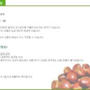 정안농장 이미지