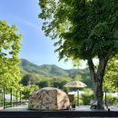 무릉도원면-17 이미지