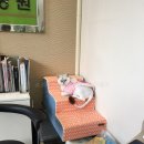 수완종합 동물병원 이미지