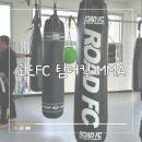 팀더킹MMA | 제주도 복싱 '로드FC 팀더킹MMA' 체험 후기