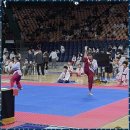 키즈 태권도 현대체육관 | 키즈태권도 아이들의 웃음꽃 피우는 태권도 체육관 후기