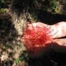 국민상사 이미지