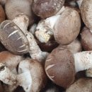 정가네농장 이미지