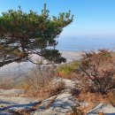 보문사주차장 이미지