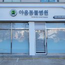 야옹동물병원 네이버블로그