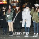 소나무인쇄 이미지