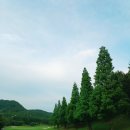 무학스크린골프 | [진해] 용원CC 무학 코스 야간 라운딩 후기