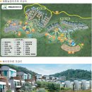 비고리조트 10 이미지