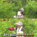 (주)코리아전산 | 아이폰 17 256GB 미스티 블루 쿠팡 구매 + 어슈어런트 코리아 온라인 보상판매 후기