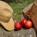 쇼핑몰(네이버스마트스토어) 이미지