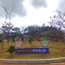 땅끝황토나라테마촌숙박동화장실 | [2021.11.07~11.10] 전남 해남 땅끝황토나라 테마촌 캠핑장 (ft_본동기사식당_갈치백반)
