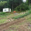 지은농장 이미지