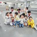 도원태권도장 이미지