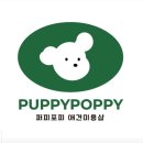 퍼피포피 이미지