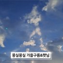 성당손한의원 네이버블로그