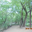 당숲길 이미지