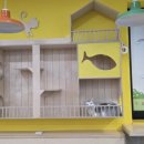 고양이카페 아이캣유 이미지