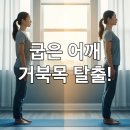 바른 몸펴기 홈트레이닝 | 운동 초보, 굽은 어깨 바로잡고 거북목 탈출! 6개월 간의 홈트레이닝 경험담과 핵심 루틴