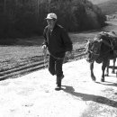 달구지마을 이미지