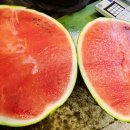 와싸다 장터 이미지