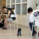 펌킨 펫하우스 서울숲 이미지