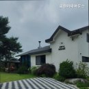 호영이네하우스