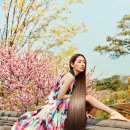 아름다운헤어 이미지