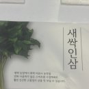 고고팜 | 평택 닥터고고팜 새싹삼 | 새싹인삼 부모님선물 추천