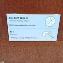 이길래 생성과응집 이미지