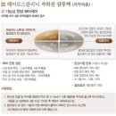 리엔 클리닉 탈모 지성 샴푸400G 이미지