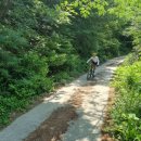 옥룡면사무소 이미지